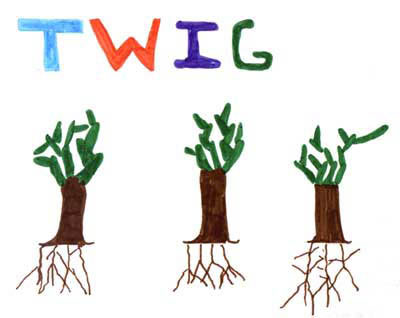 Twig